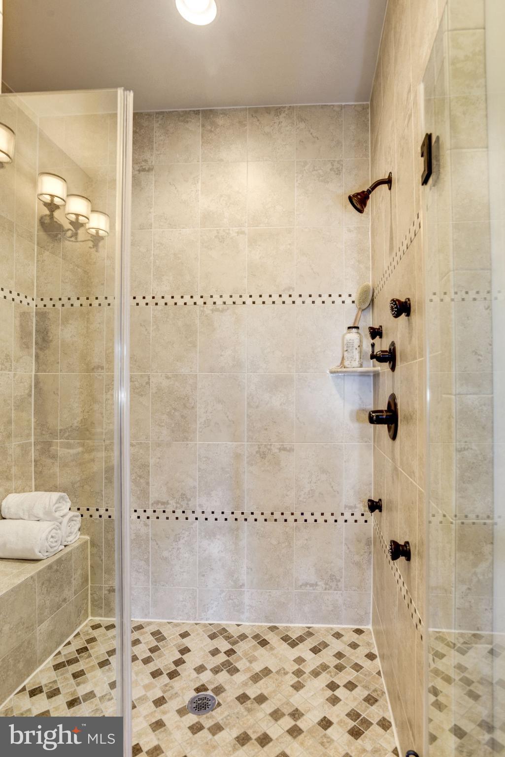 1140 South Glebe Road Arlington, VA 22204 - Photo 38 of 61 Luxury Jetted Spa Shower