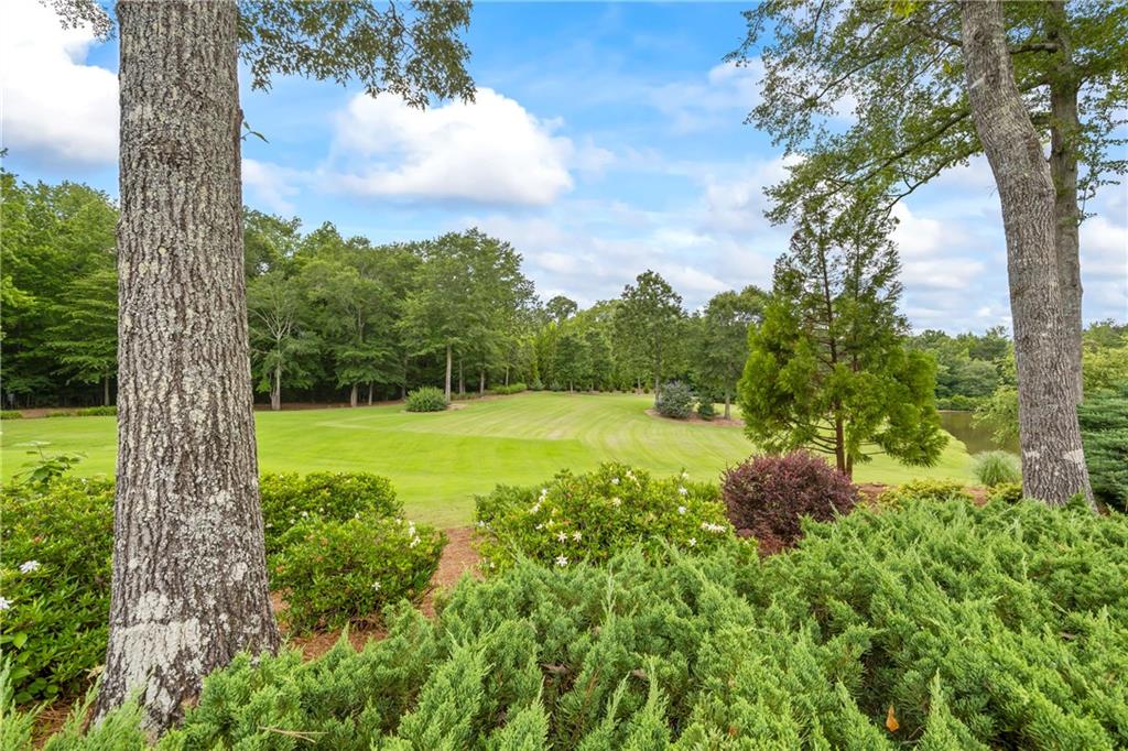 4239 Lower Jersey Road Covington, GA 30014 - Photo 33 of 91