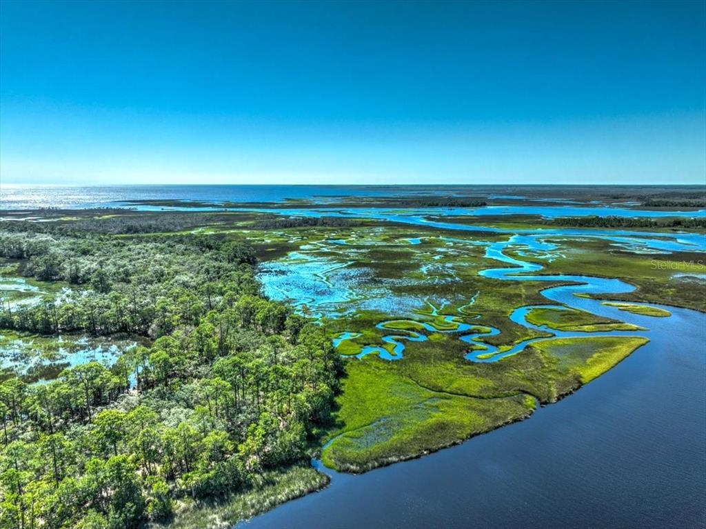0 Clark Island Cedar Key, FL 32625 - Photo 12 of 24