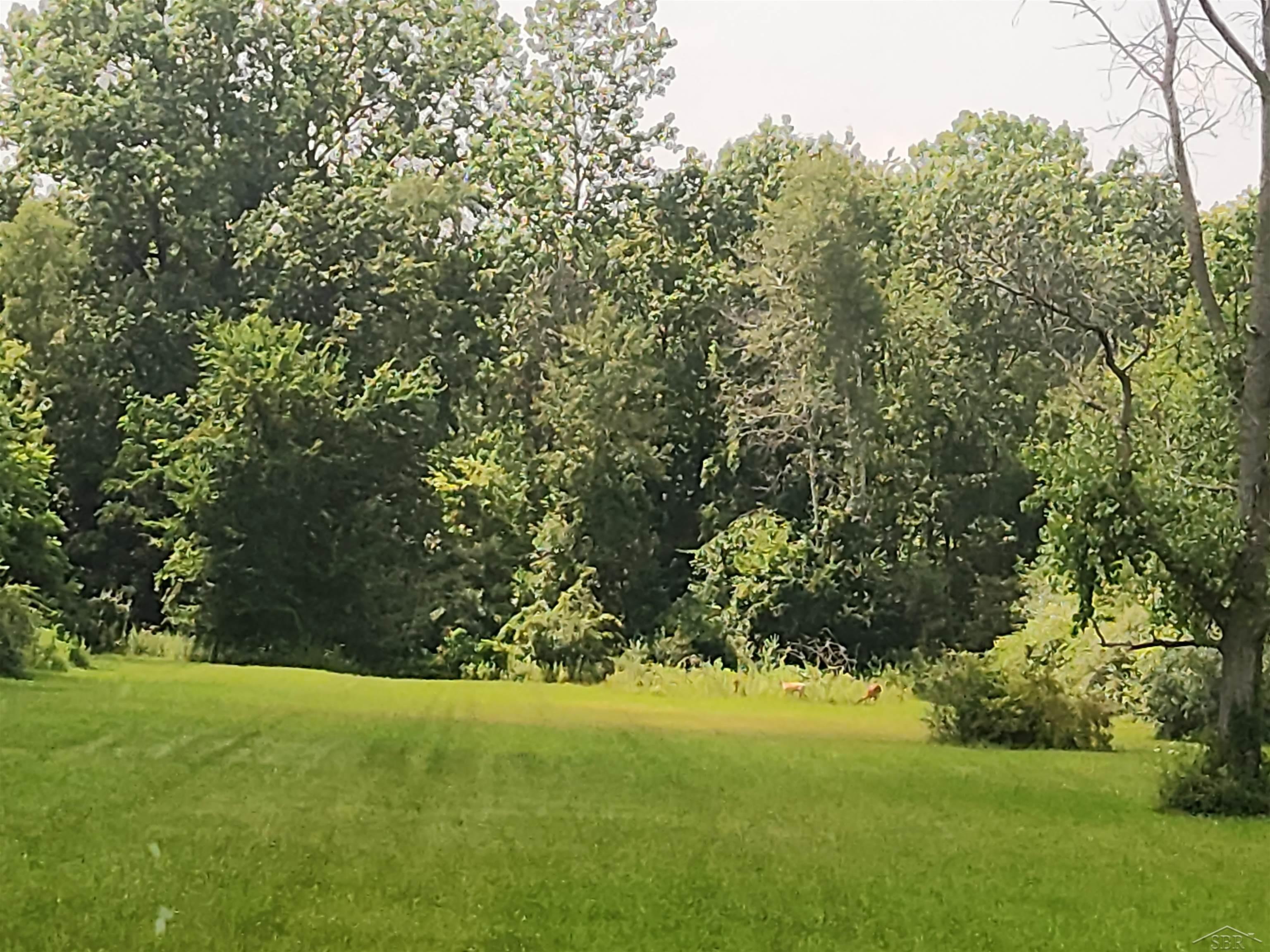 10462 South Reese Road Birch Run, MI 48415 - Photo 20 of 33