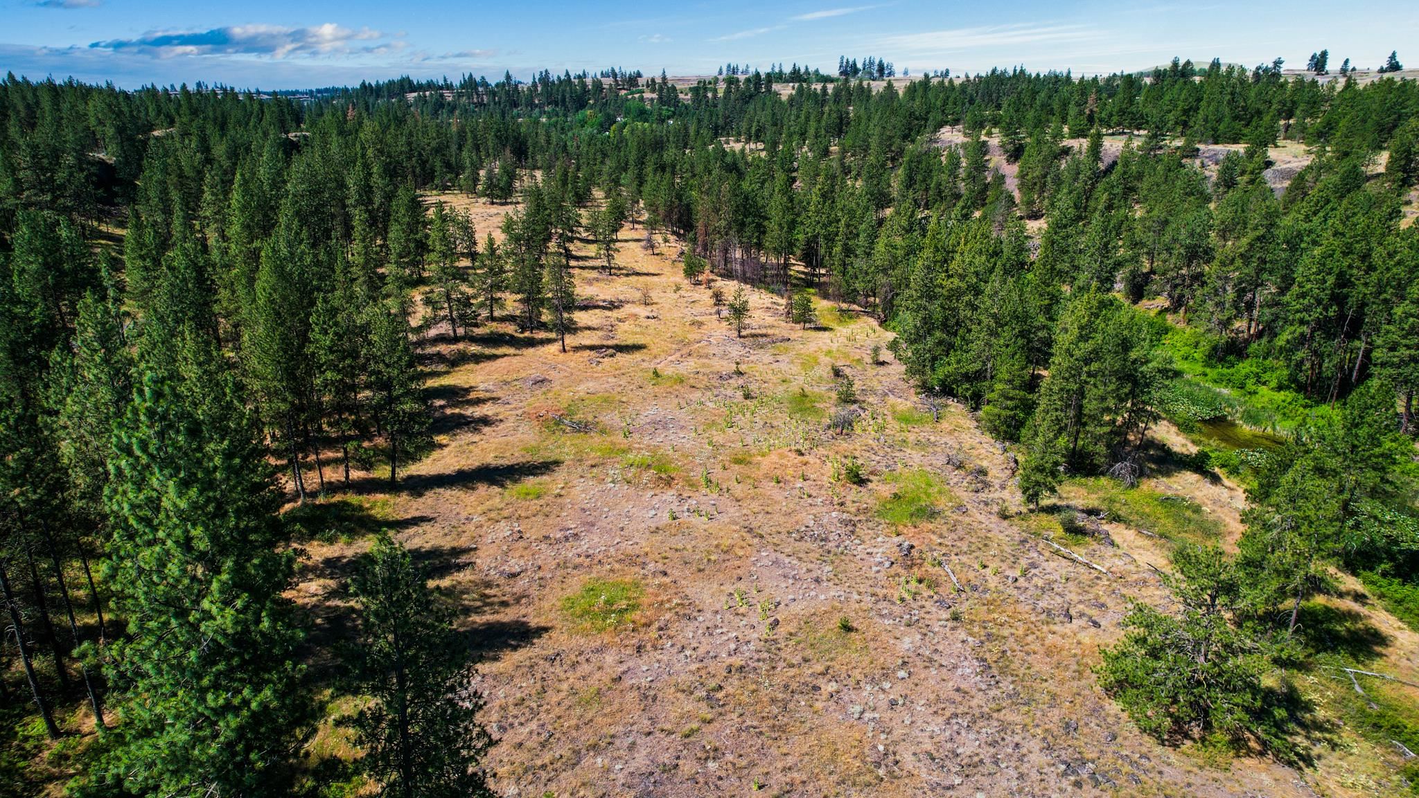 Nka West Scroggie Road Sprague, WA 99032 - Photo 13 of 42