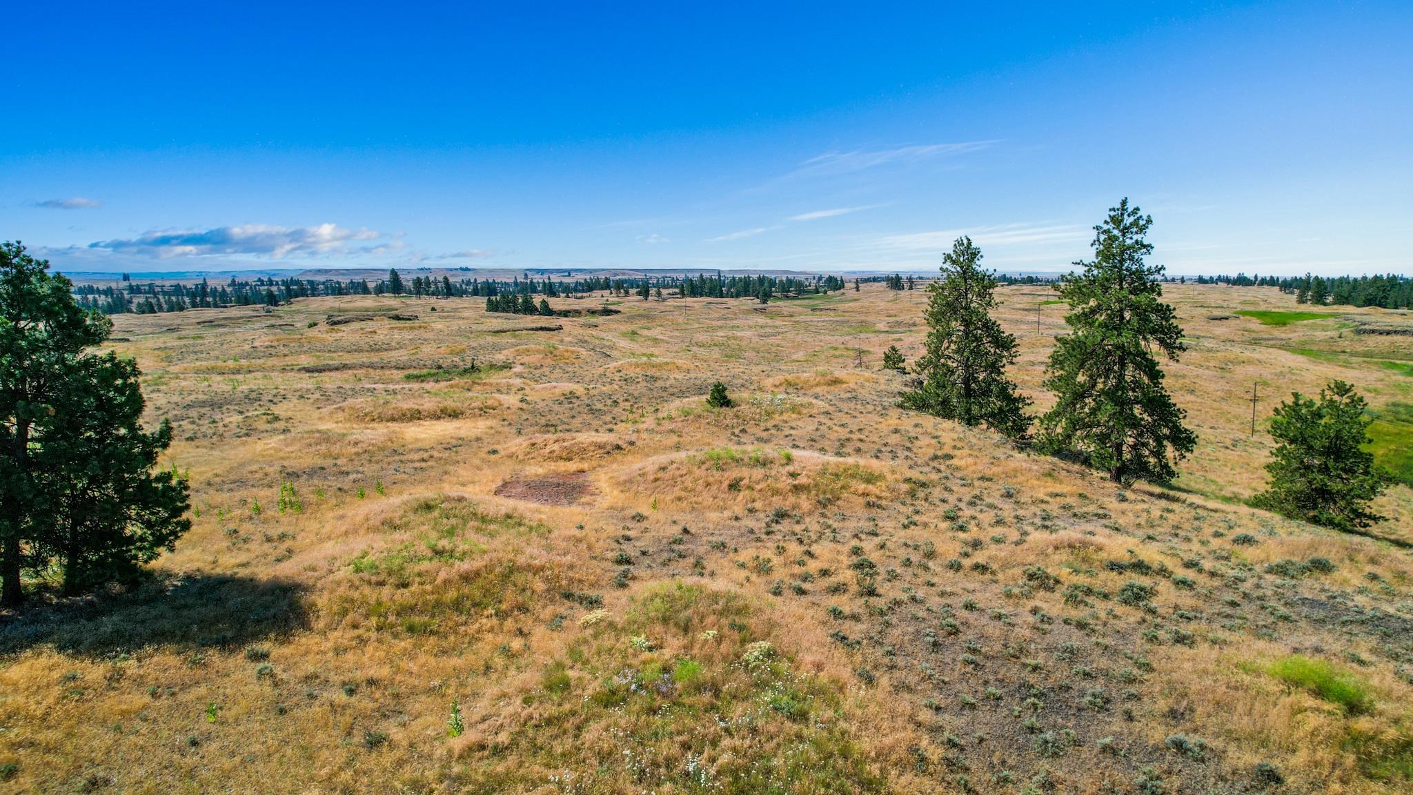 Nka West Scroggie Road Sprague, WA 99032 - Photo 33 of 42
