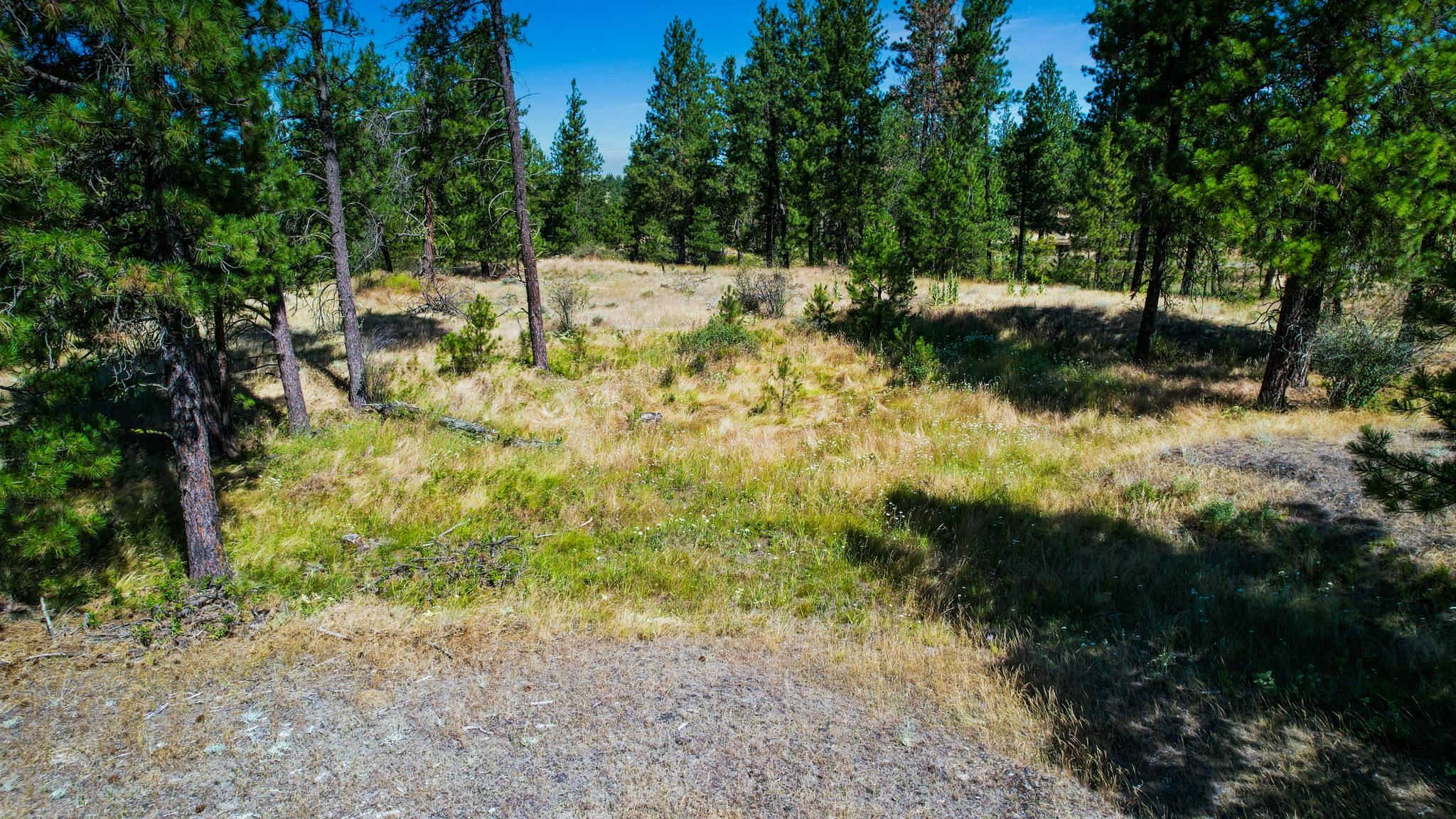 Nka West Scroggie Road Sprague, WA 99032 - Photo 8 of 42