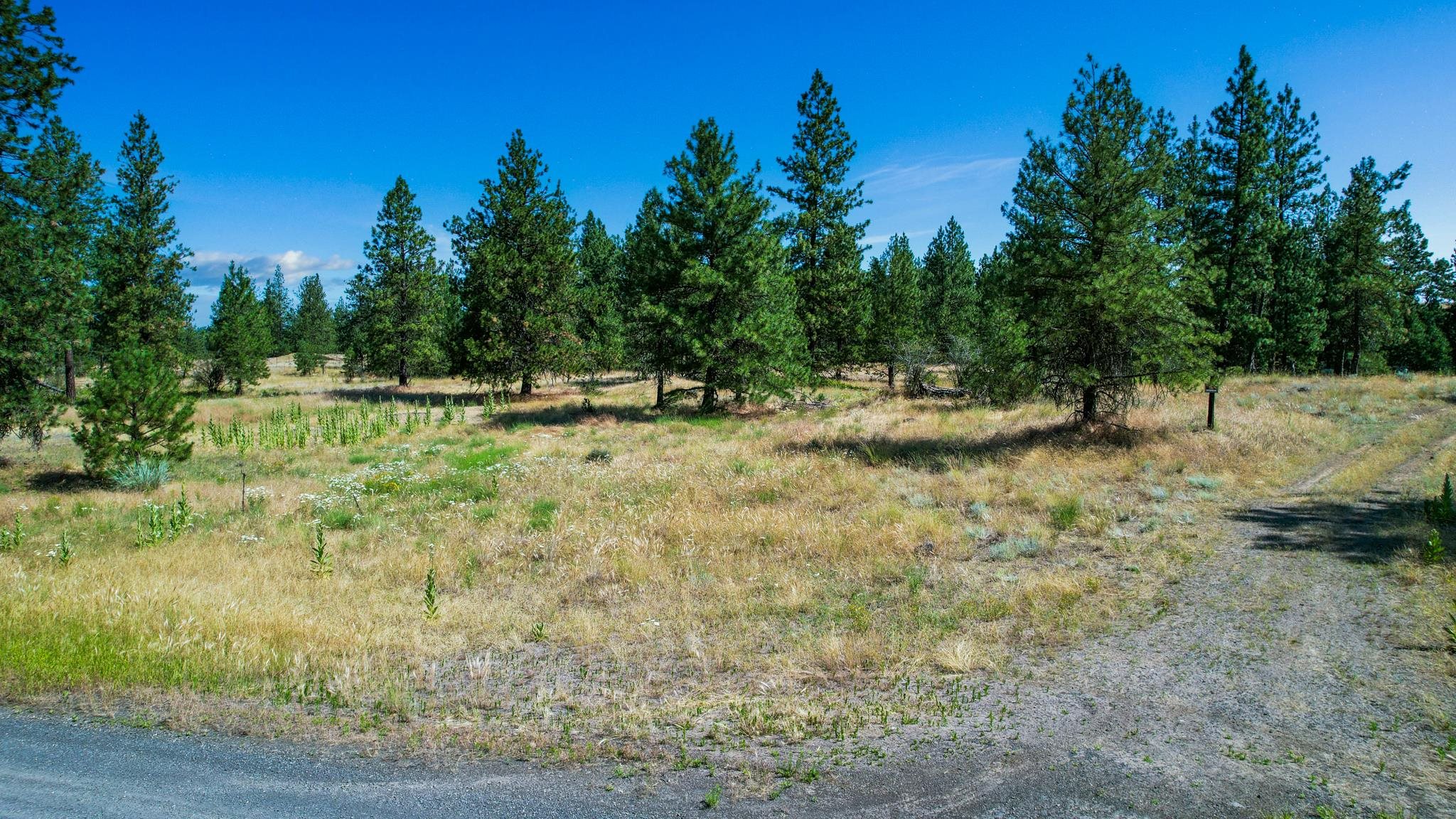 Nka West Scroggie Road Sprague, WA 99032 - Photo 10 of 42