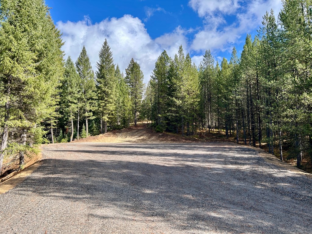 50 Sawtooth Loop, Unit LOT 30 Cascade, ID 83611 - Photo 5 of 9
