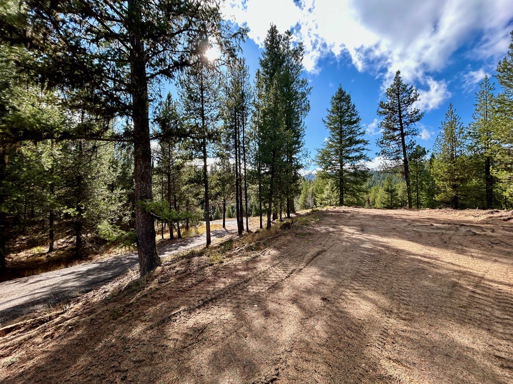50 Sawtooth Loop, Unit LOT 30 Cascade, ID 83611 - Photo 6 of 9