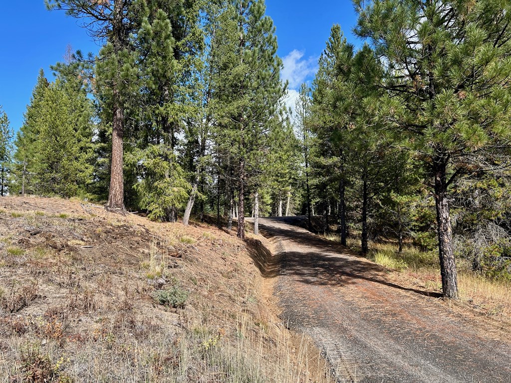 50 Sawtooth Loop, Unit LOT 30 Cascade, ID 83611 - Photo 7 of 9