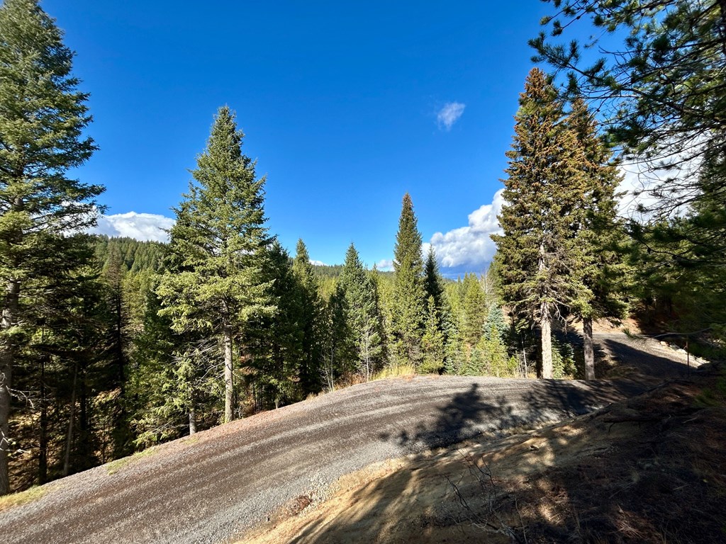 50 Sawtooth Loop, Unit LOT 30 Cascade, ID 83611 - Photo 8 of 9