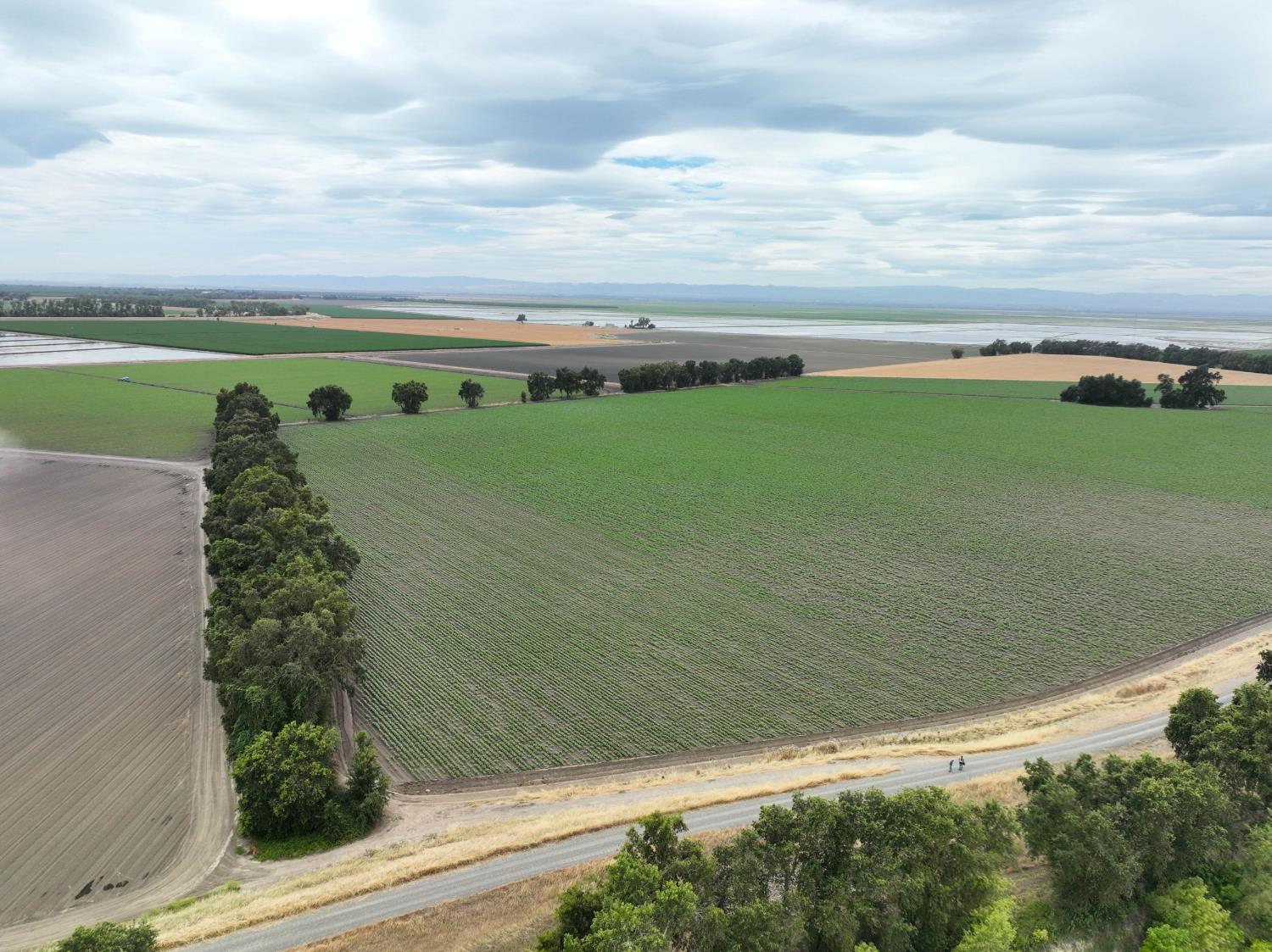 916 Wilson Bend Road Knights Landing, CA 95645 - Photo 90 of 90 Gallery Image 90