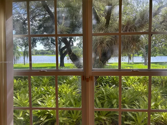 a view of a tree in a yard