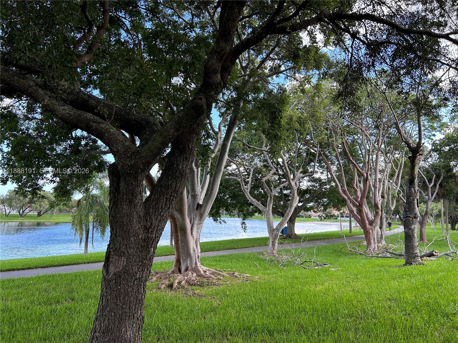 10889 Southwest 149th Place Miami, FL 33196 - Photo 8 of 51 a view of a backyard with large trees