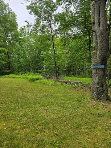 a view of a lush green space