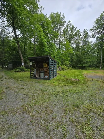 a view of a garden with a tree