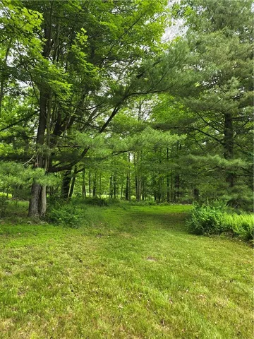 a view of a green field with trees in the background