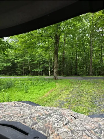 a view of a lush green forest