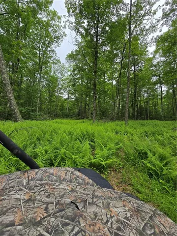 a view of a lush green space