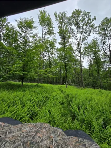 a view of outdoor space with trees