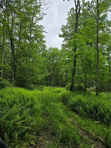 a view of a road with a yard and a wooden fence
