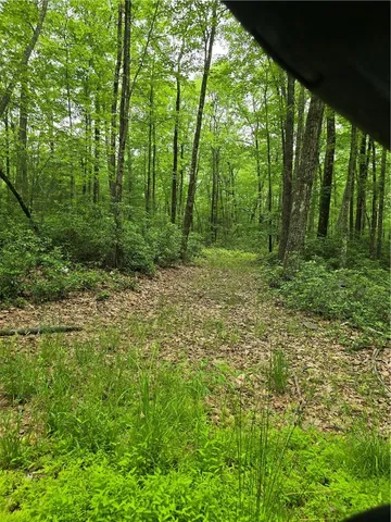 $699,999 | Tbd Otens Road, East Jewett, NY 12424