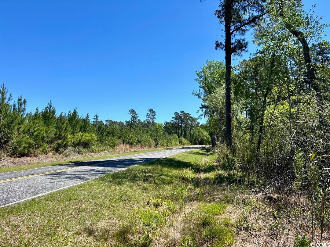 Hamp Road Marion, SC 29571 - Photo 5 of 6