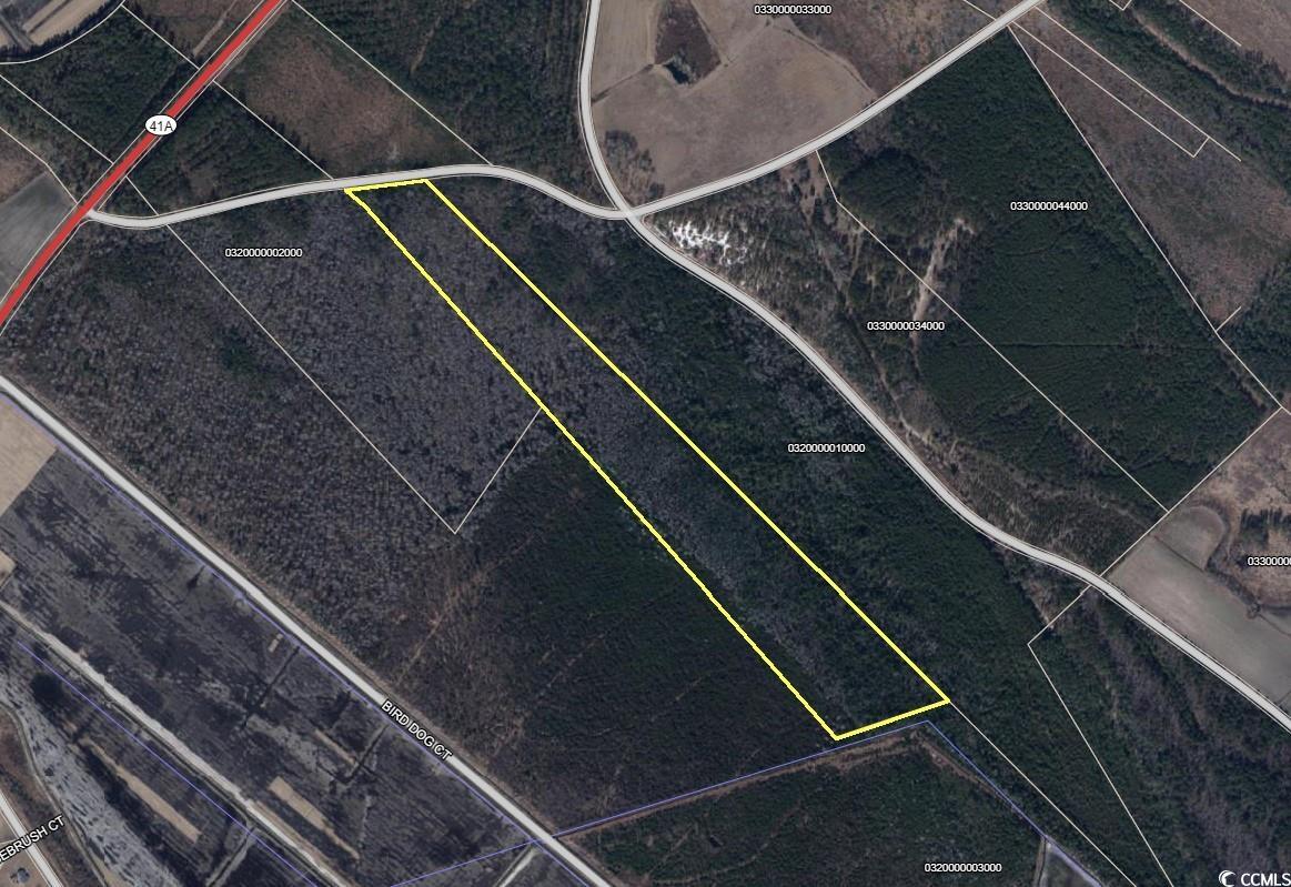 Hamp Road Marion, SC 29571 - Photo 6 of 6