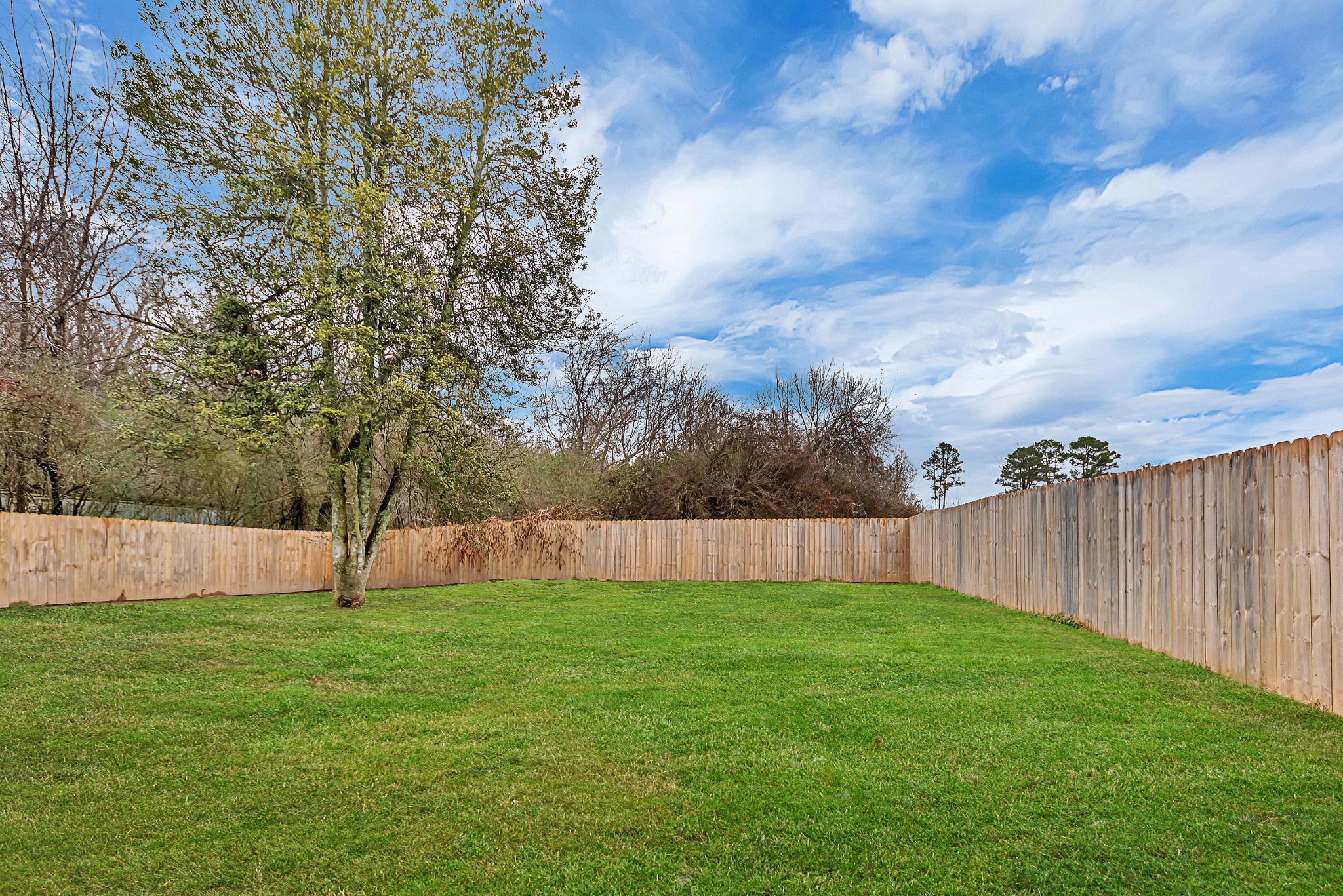 5202 Murphy Road Knoxville, TN 37918 - Photo 21 of 28