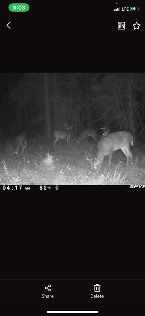 190 Hinson Road Tylertown, MS 39667 - Photo 57 of 75 Photo 57