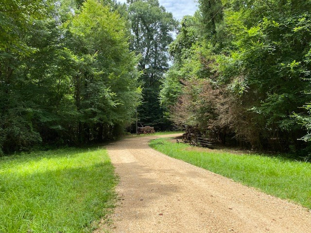 190 Hinson Road Tylertown, MS 39667 - Photo 60 of 75 Photo 60