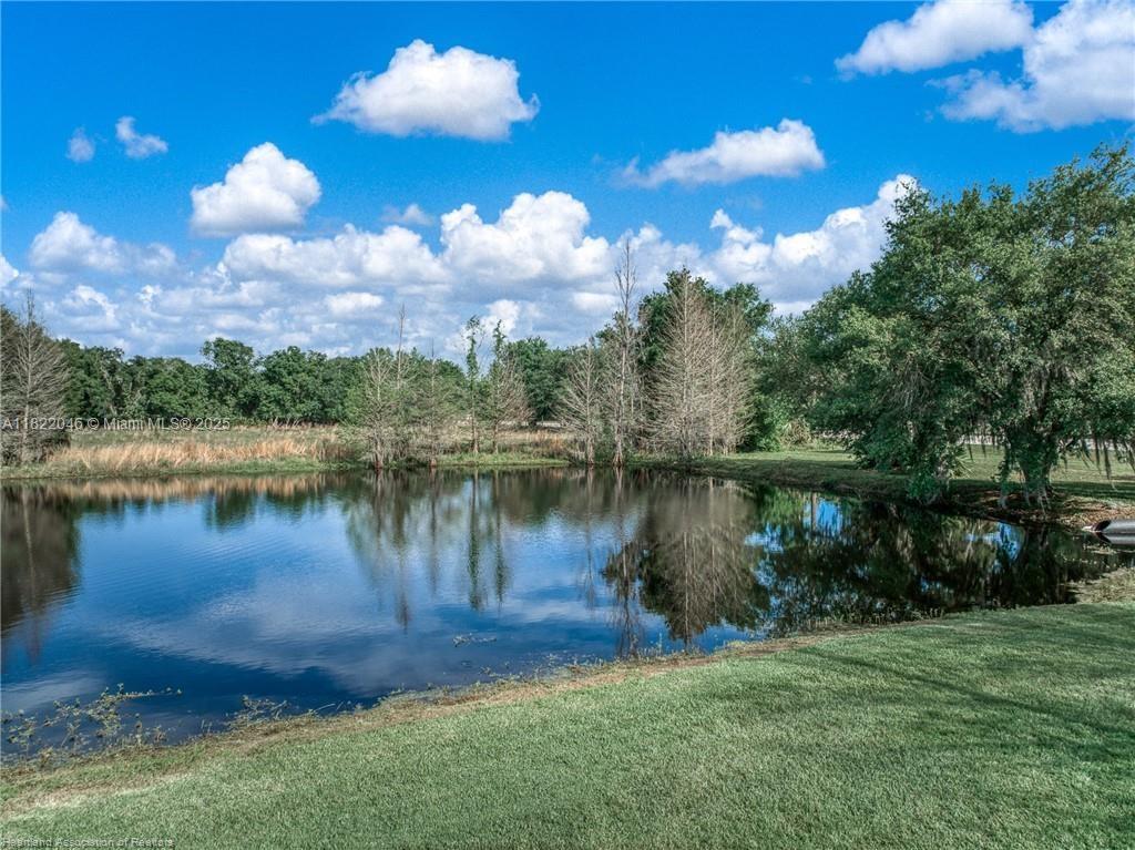 479 E Street Zolfo Springs, FL 33890 - Photo 44 of 50 a view of a lake