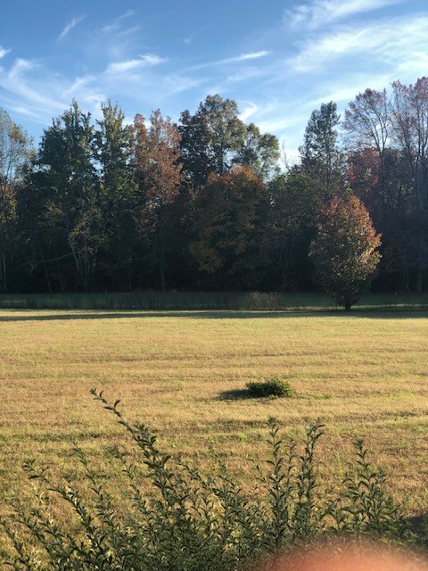 251 Trent Road Lafayette, TN 37083 - Photo 4 of 15 Gallery Image 4