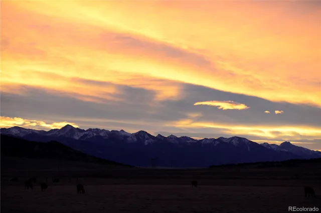 a view of a lake with houses in the back