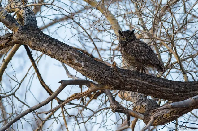 a close view of a chandelier in big room