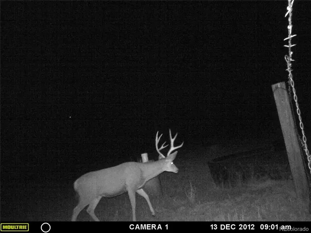 $1,595,000 | 54400 County Road, Villa Grove, CO 81155