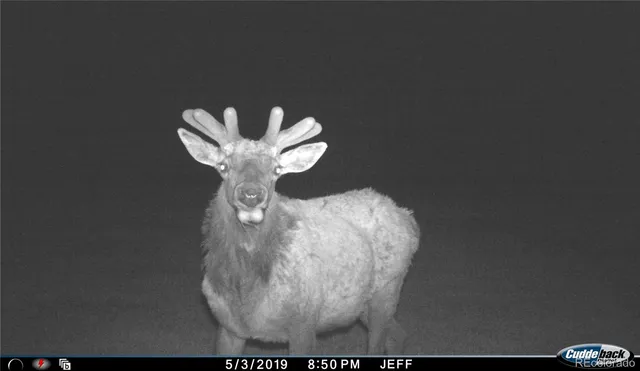 $1,595,000 | 54400 County Road, Villa Grove, CO 81155