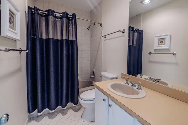 a bathroom with sink a toilet a mirror and shower curtain