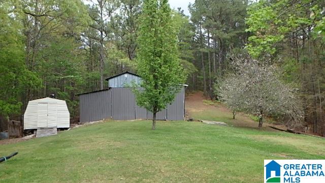 2183 Chapman Road Goodwater, AL 35072 - Photo 3 of 5