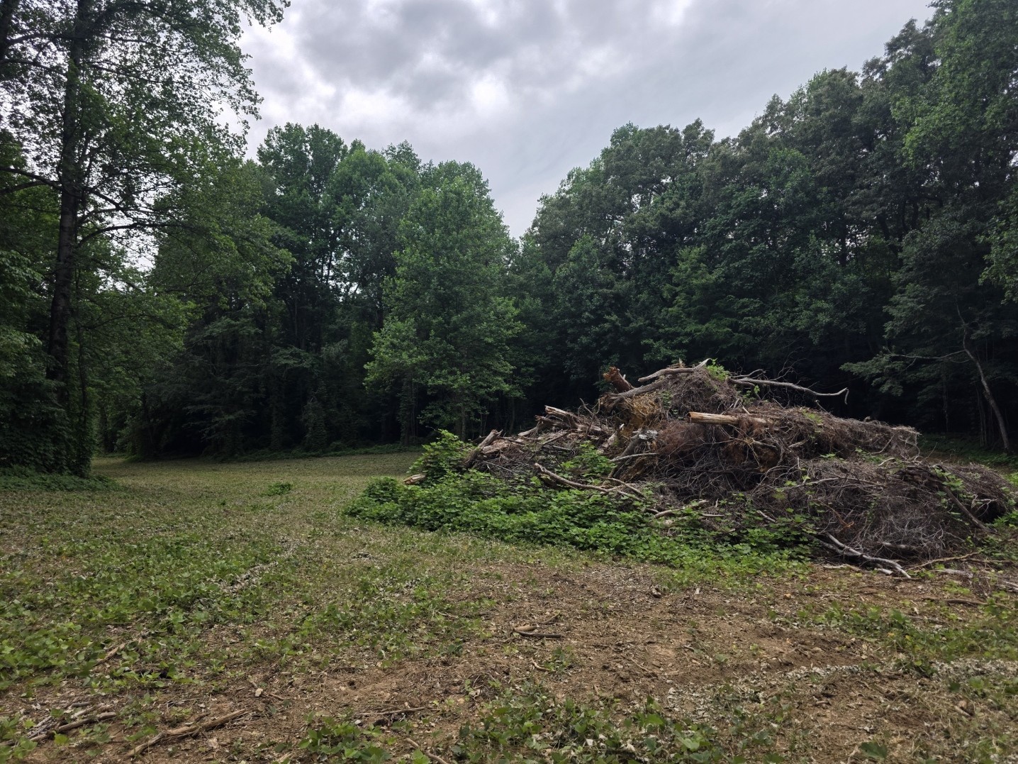12 Shellsford Road McMinnville, TN 37110 - Photo 6 of 10