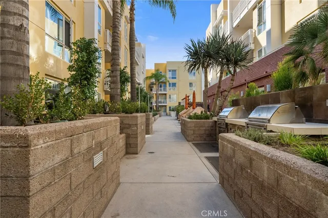 a view of a patio with plants and palm trees