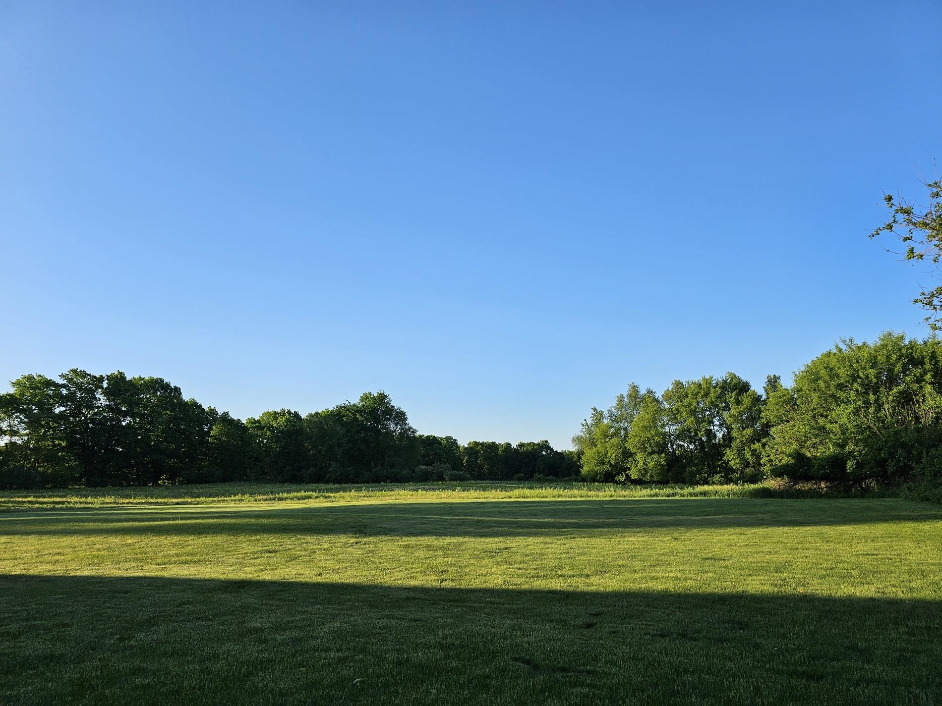 7841 West Madison Road Elwell, MI 48832 - Photo 53 of 66