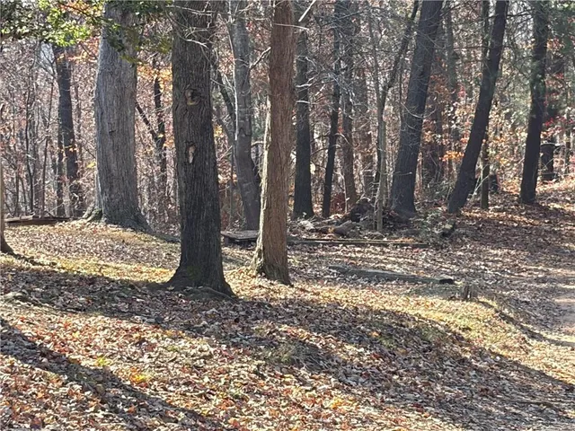 a view of basketball court