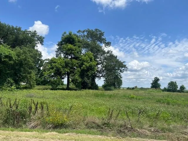 $88,500 | 320 North Bayou Rapides Road, Alexandria, LA 71303