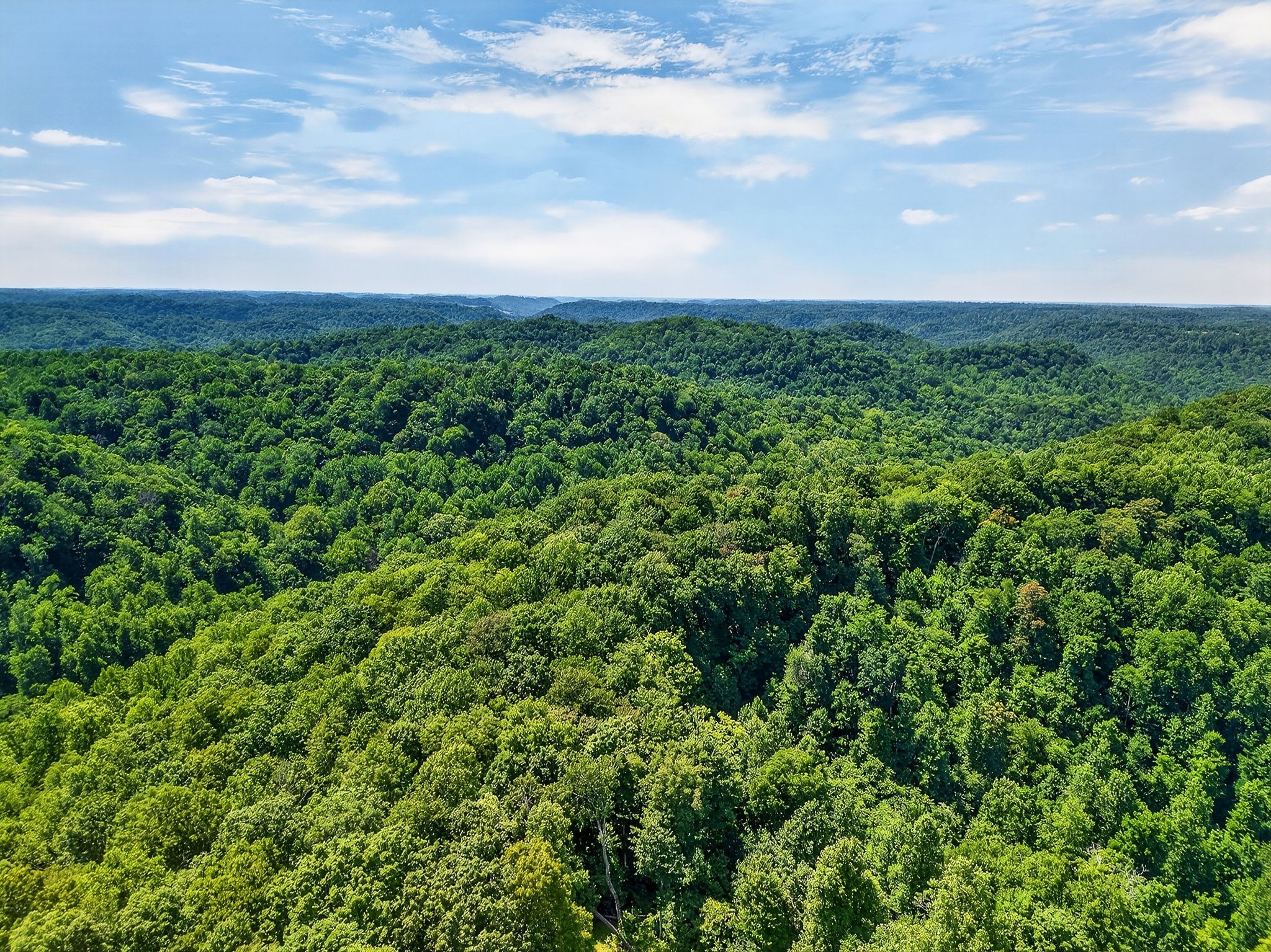 2926 Bryant Ridge Road Baxter, TN 38544 - Photo 55 of 64