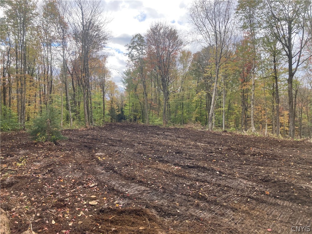 Olin Road Lowville, NY 13367 - Photo 2 of 5 driveway