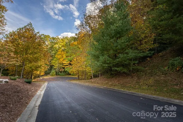a view of a yard with an outdoor space