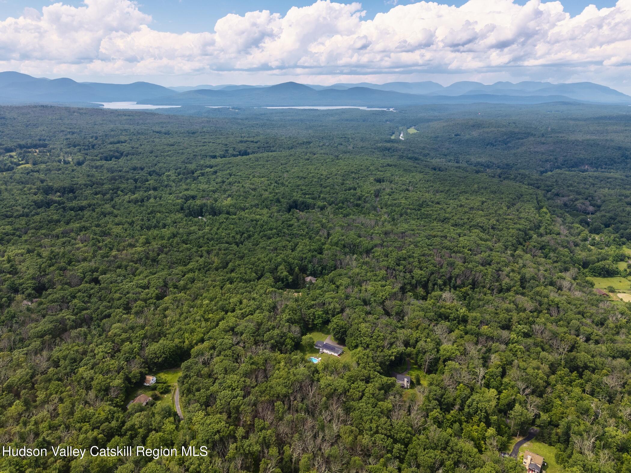137 Bush Road Stone Ridge, NY 12484 - Photo 38 of 39 a view of a green field with lots of bushes