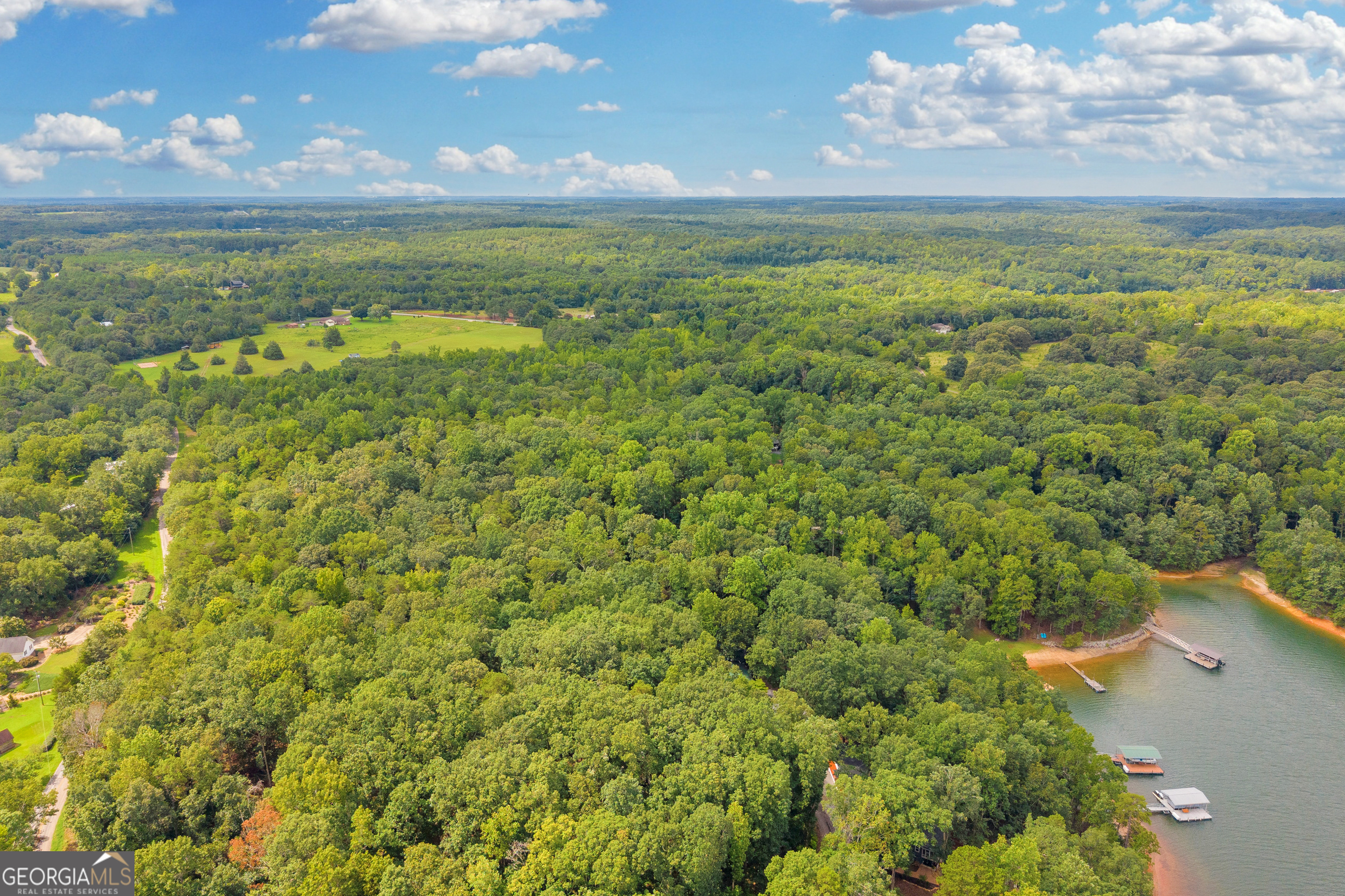 26 Chief Lane Hartwell, GA 30643 - Photo 42 of 65 a view of an ocean from a yard