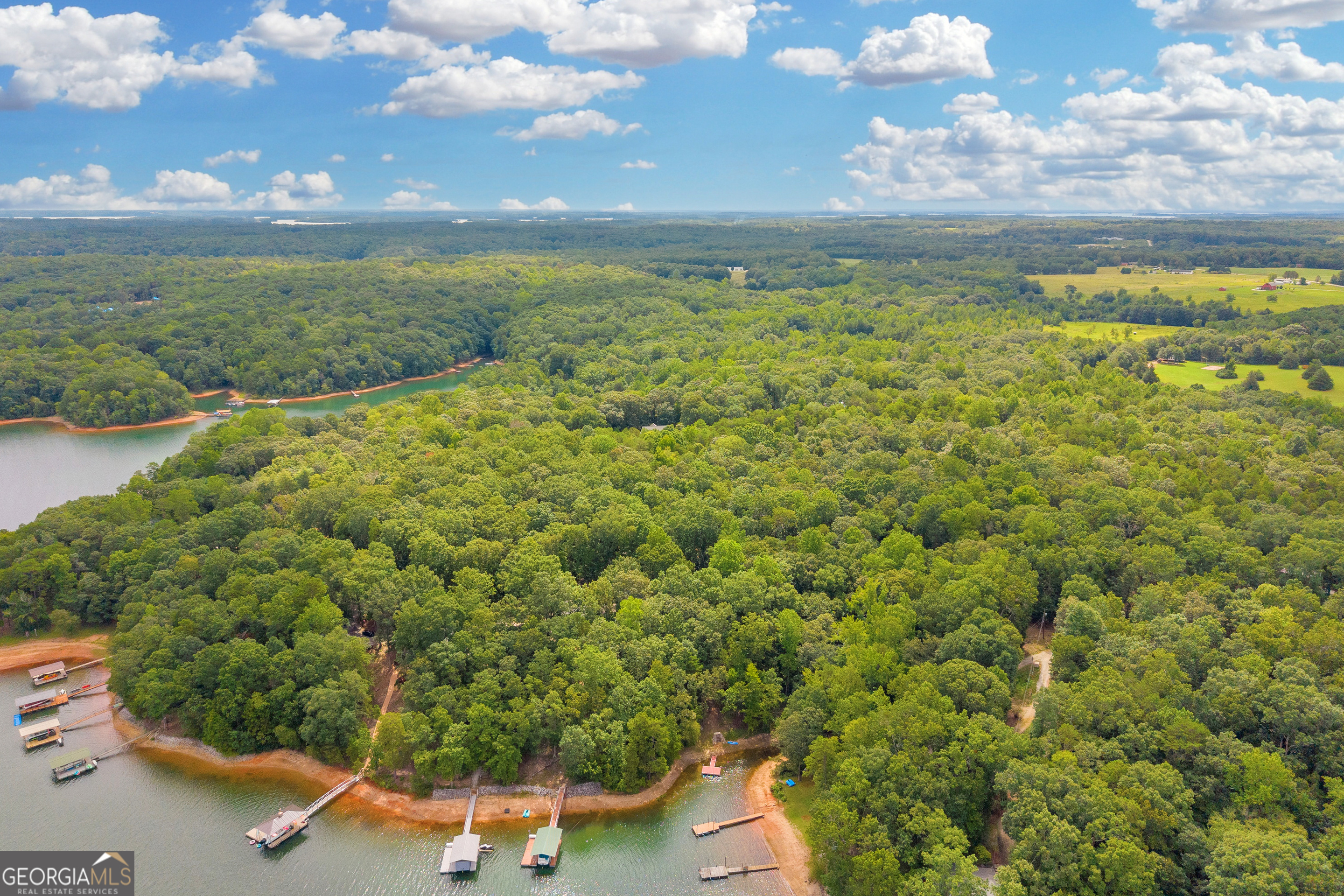 26 Chief Lane Hartwell, GA 30643 - Photo 44 of 65 a view of outdoor space and yard