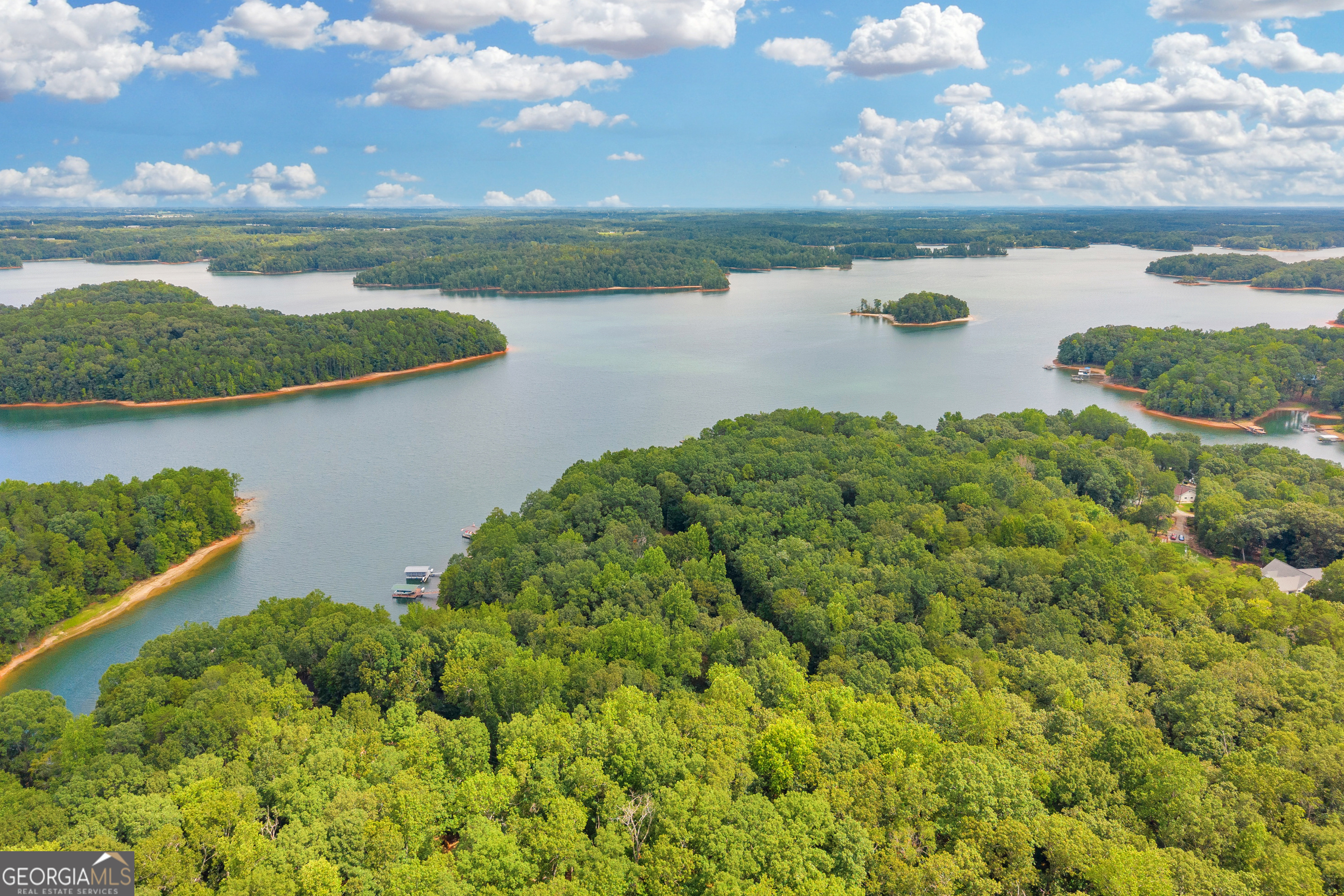 26 Chief Lane Hartwell, GA 30643 - Photo 47 of 65 a view of a lake with a yard