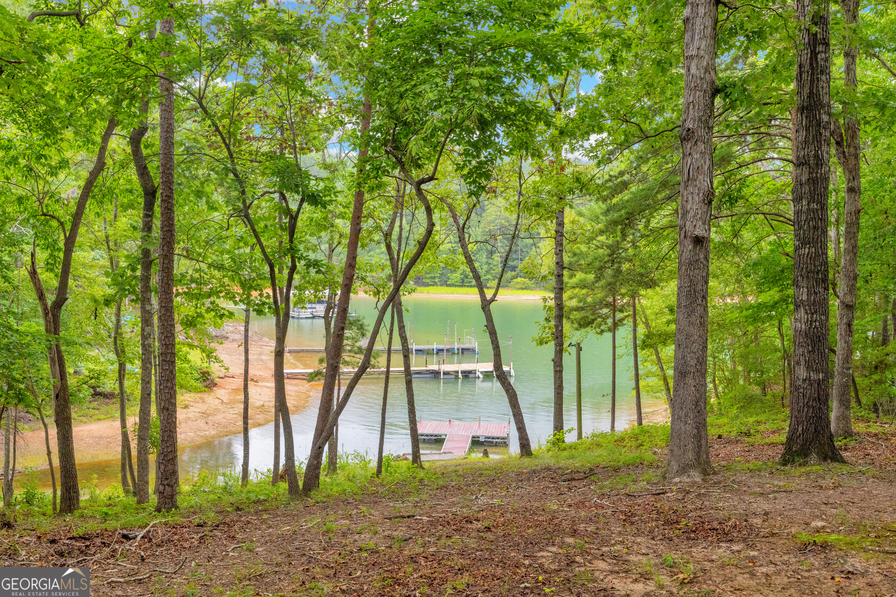 26 Chief Lane Hartwell, GA 30643 - Photo 6 of 65 a backyard of a house with lots of trees and plants