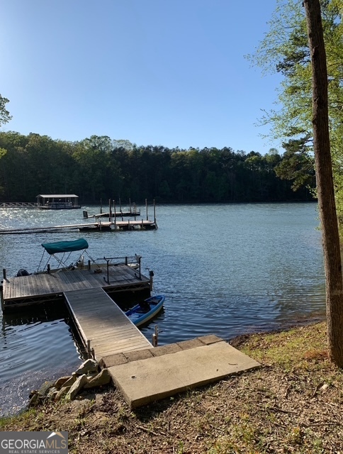 26 Chief Lane Hartwell, GA 30643 - Photo 64 of 65 a view of a lake with lawn chairs and large tree